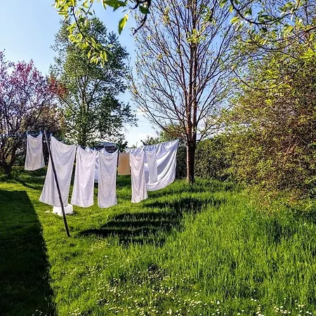 Apartamento červený Dvůr *
