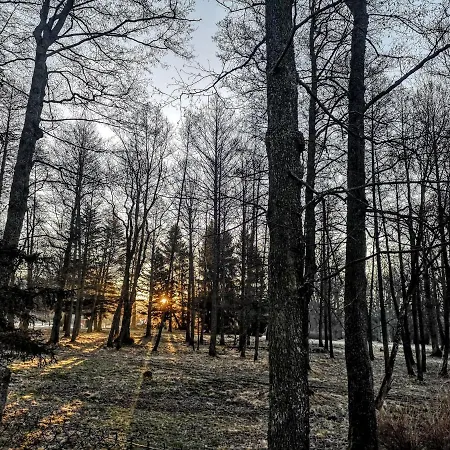 Cerveny Dvur Apartment Chvalsiny